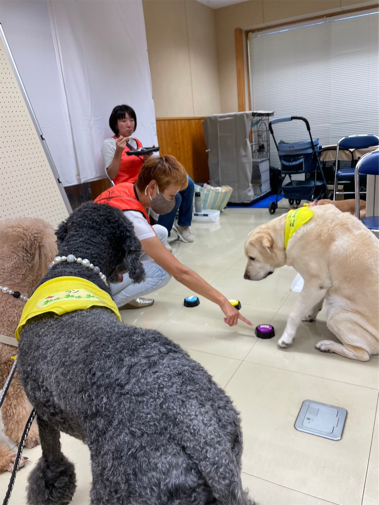 f:id:sakaivet2019:20240916145905j:image