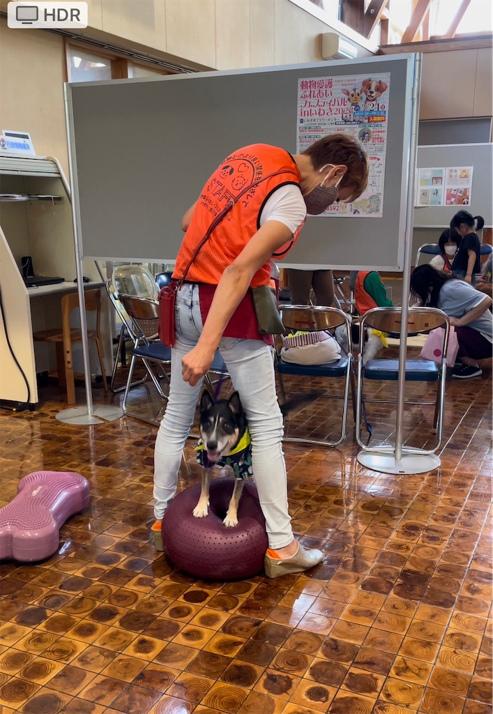 f:id:sakaivet2019:20240916145919j:image