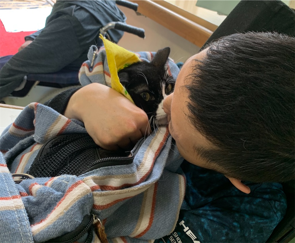 f:id:sakaivet2019:20240916150629j:image