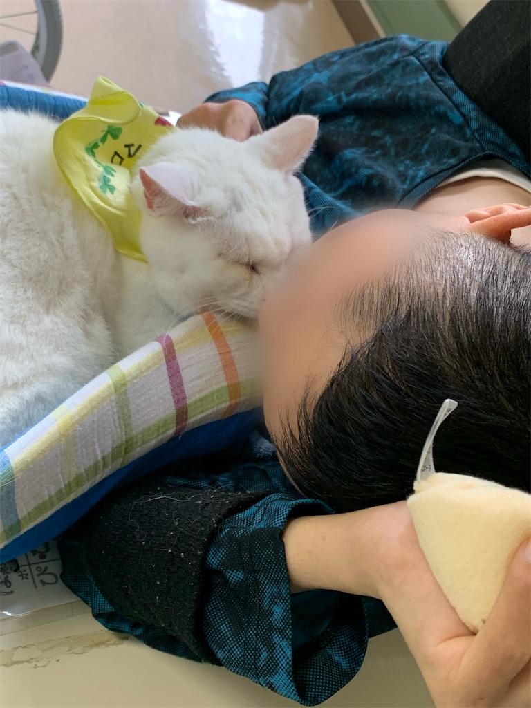 f:id:sakaivet2019:20240916150633j:image