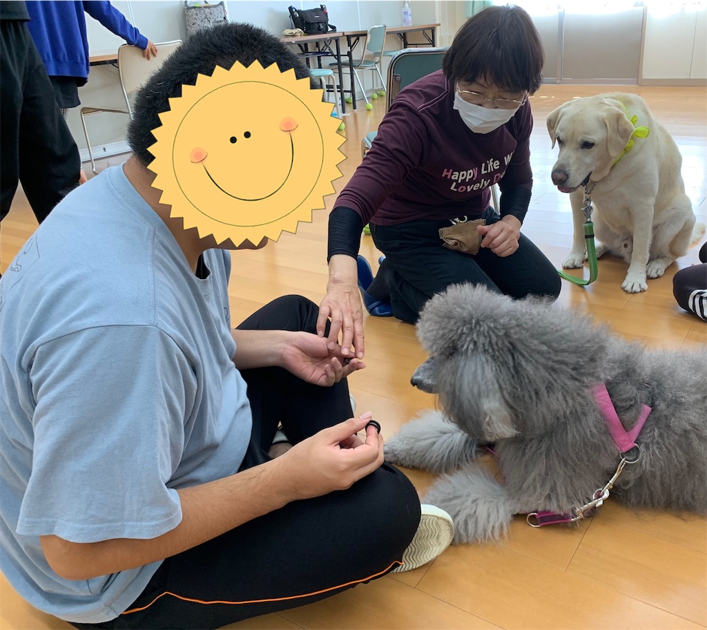 f:id:sakaivet2019:20240916152137j:image