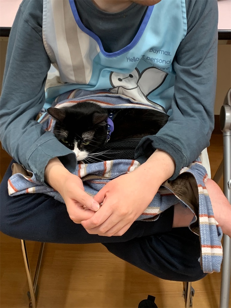 f:id:sakaivet2019:20240916161618j:image