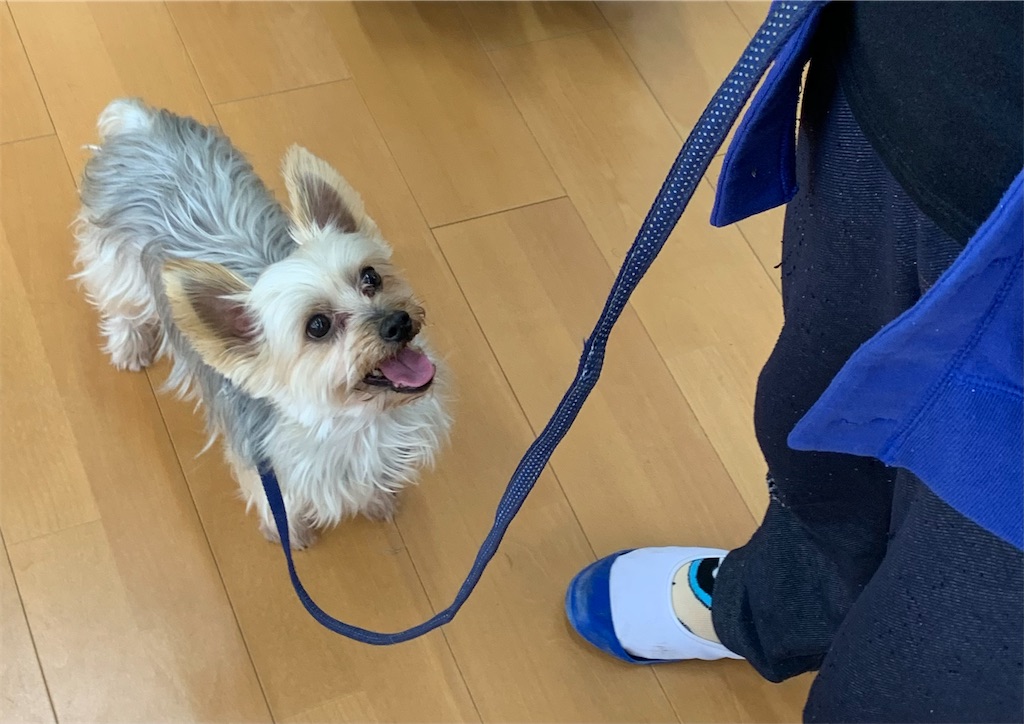 f:id:sakaivet2019:20240916162836j:image f:id:sakaivet2019:20240916162836j:image