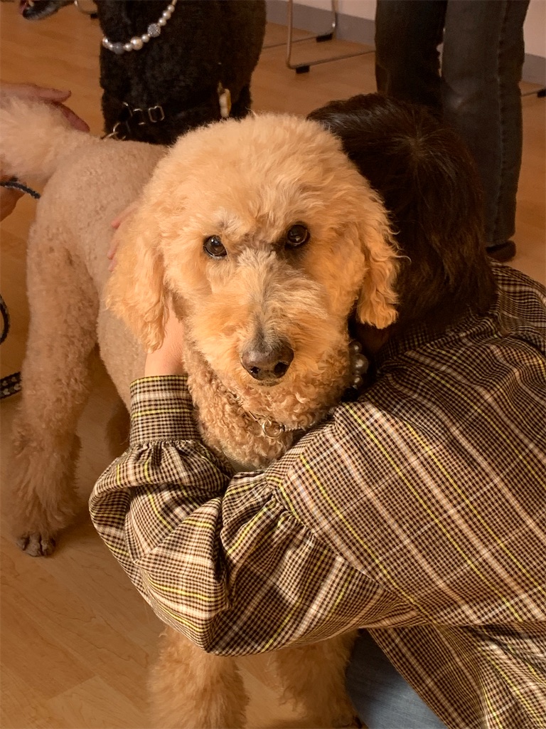 f:id:sakaivet2019:20240916163321j:image f:id:sakaivet2019:20240916163321j:image