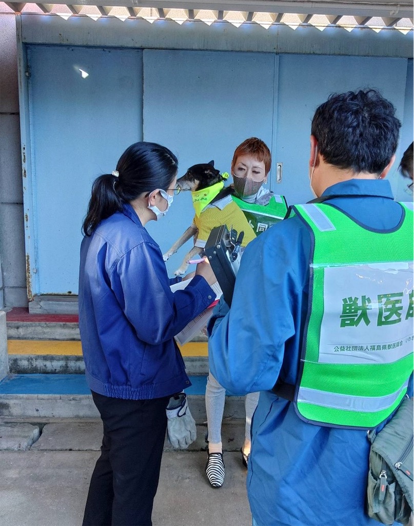 f:id:sakaivet2019:20240916164058j:image