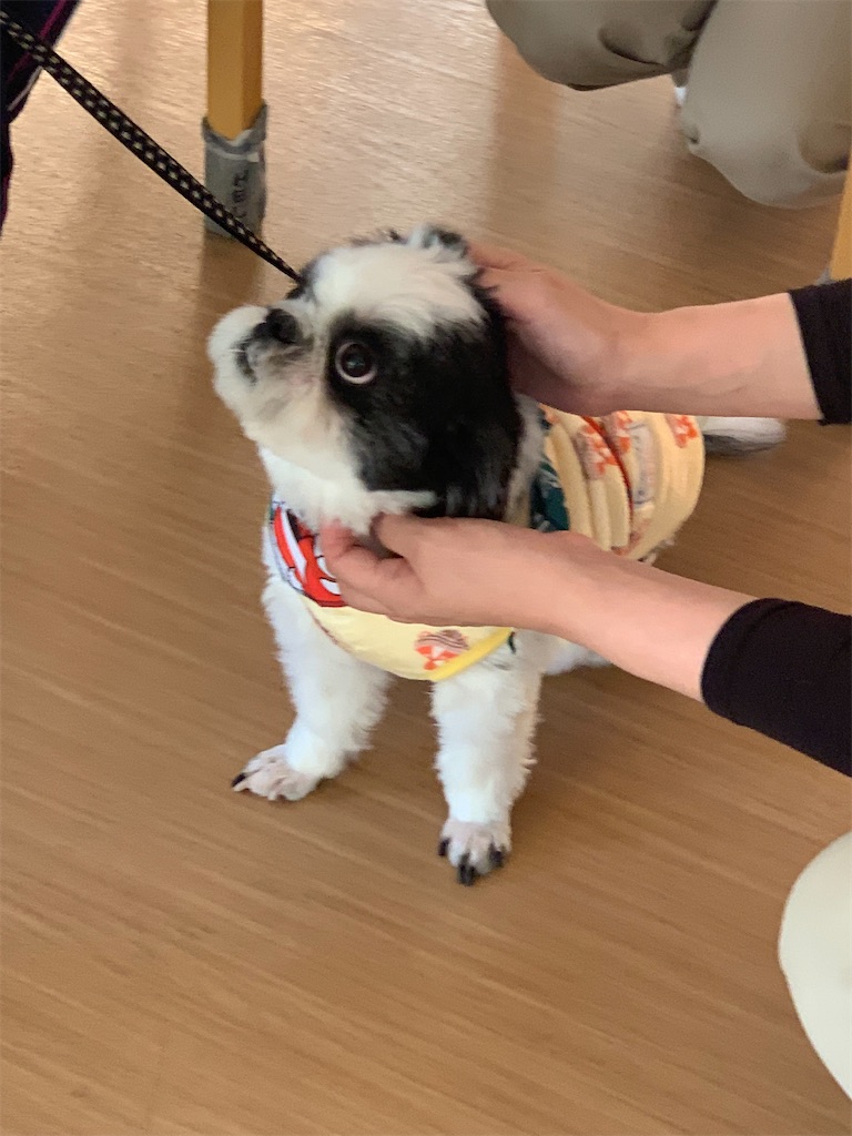 f:id:sakaivet2019:20240916164740j:image f:id:sakaivet2019:20240916164740j:image