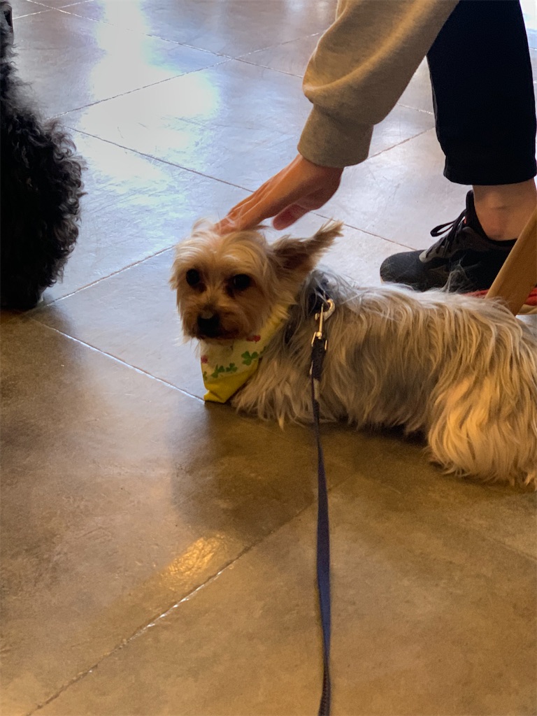 f:id:sakaivet2019:20240916165906j:image f:id:sakaivet2019:20240916165906j:image