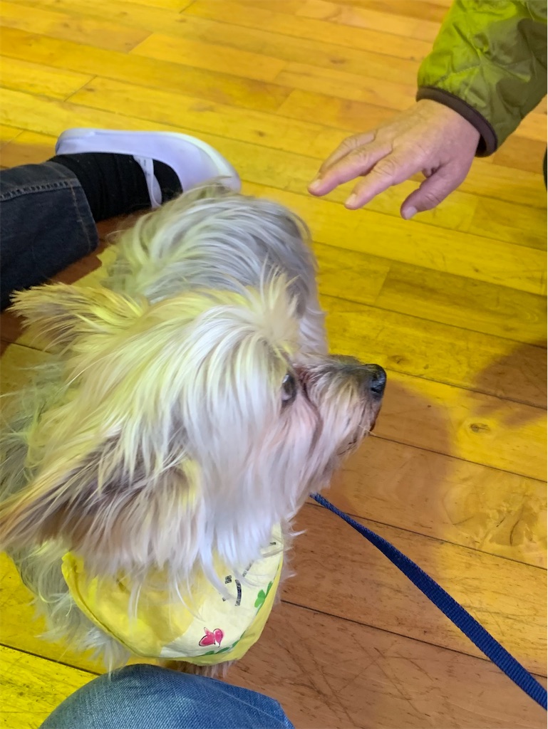 f:id:sakaivet2019:20240916171433j:image