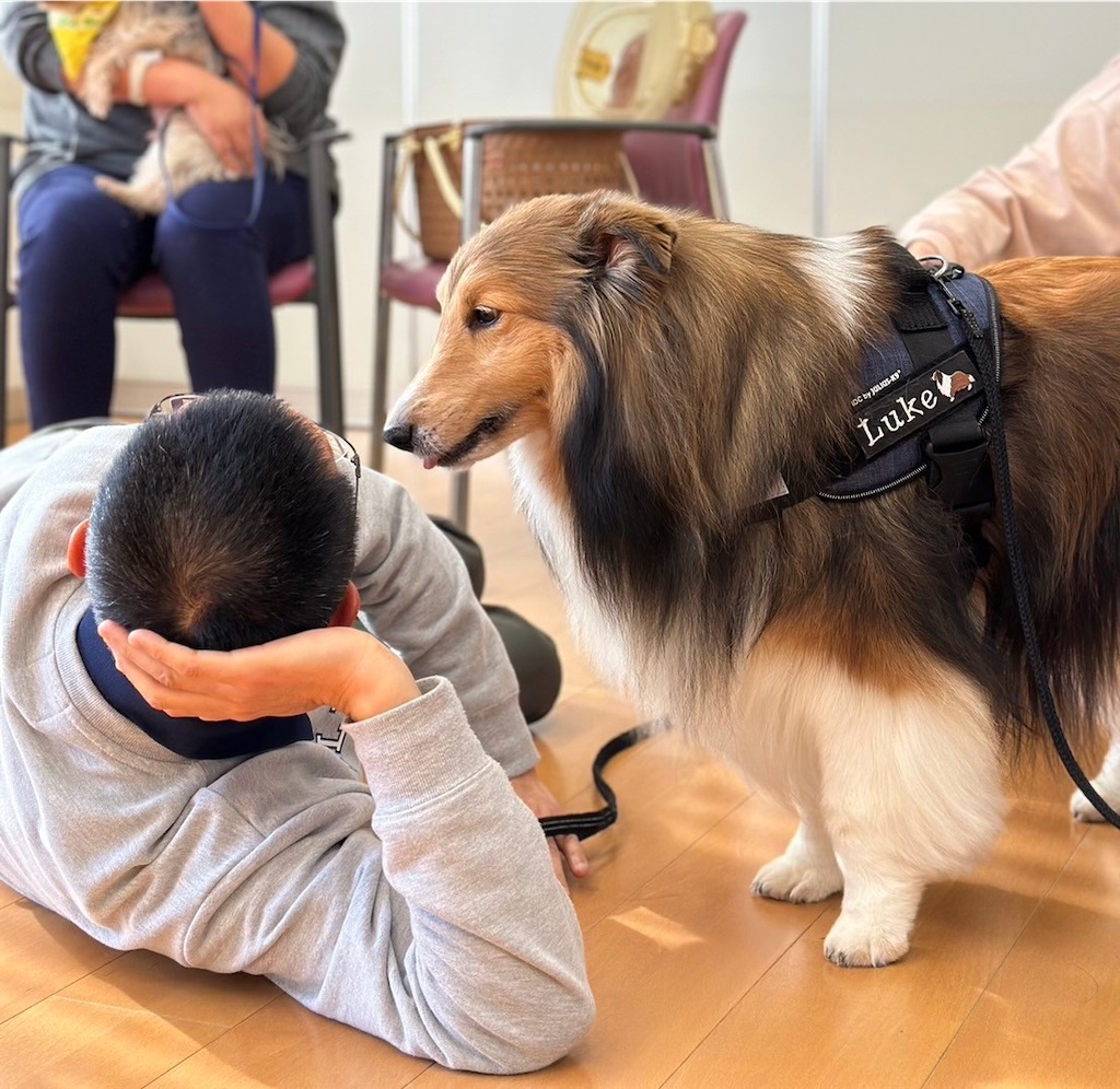 f:id:sakaivet2019:20240916171659j:image