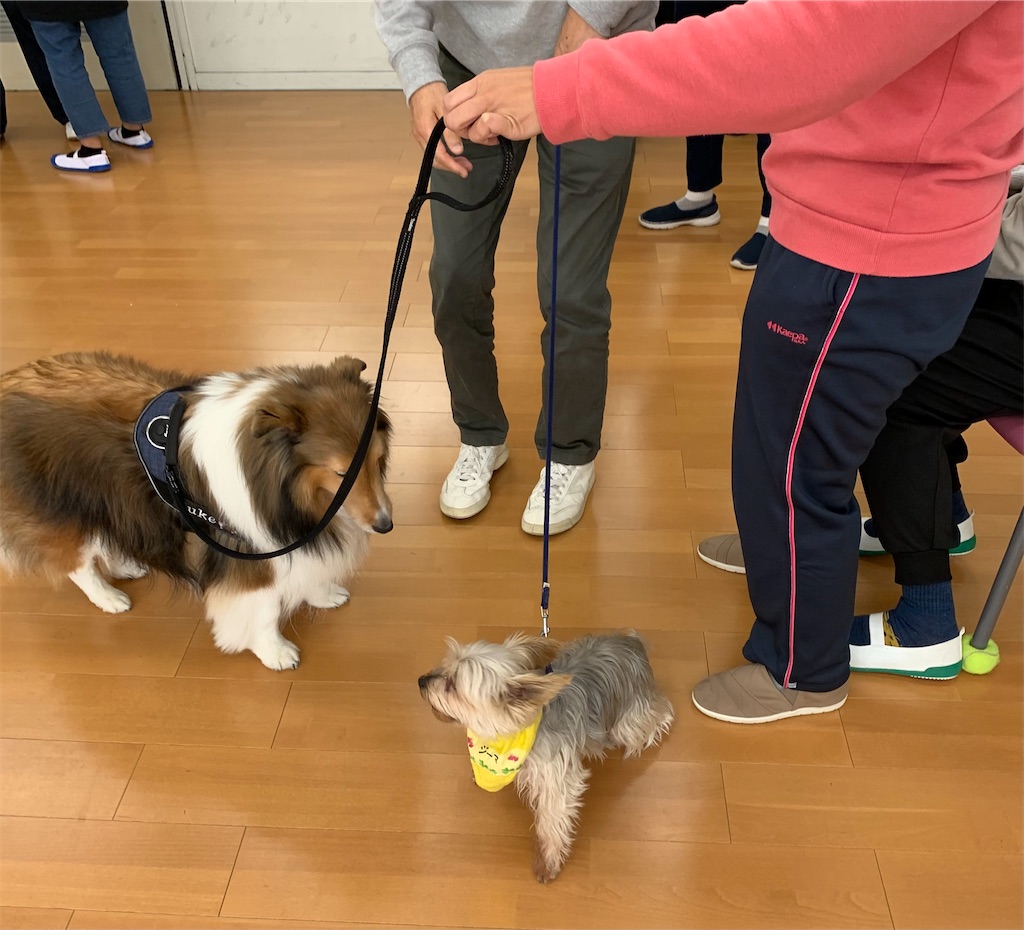 f:id:sakaivet2019:20240916171710j:image
