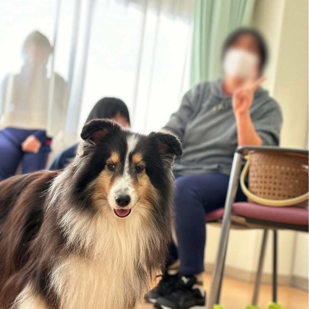 f:id:sakaivet2019:20240916171914j:image