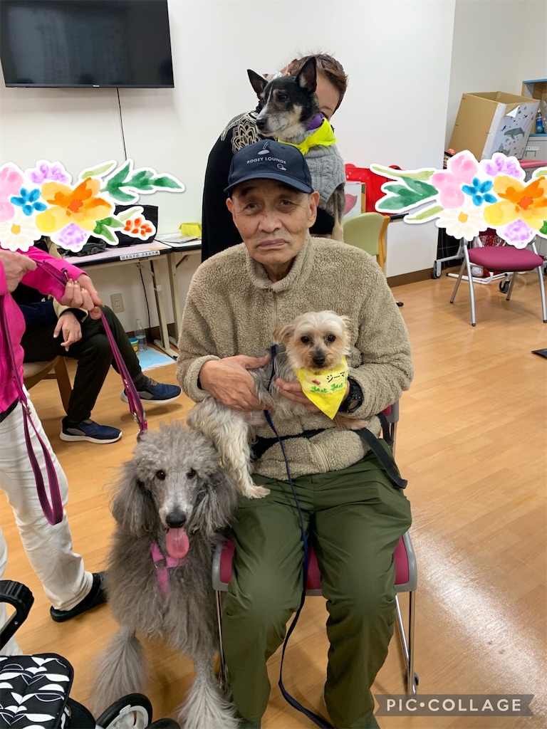 f:id:sakaivet2019:20240916182732j:image