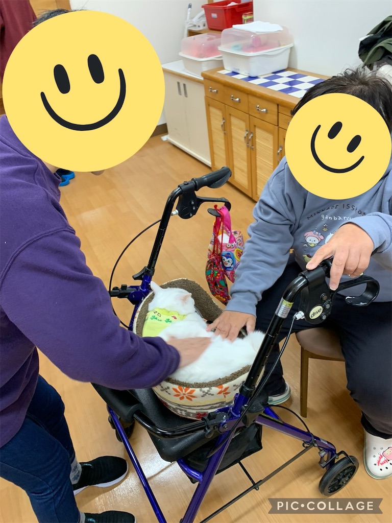 f:id:sakaivet2019:20240916182736j:image f:id:sakaivet2019:20240916182736j:image