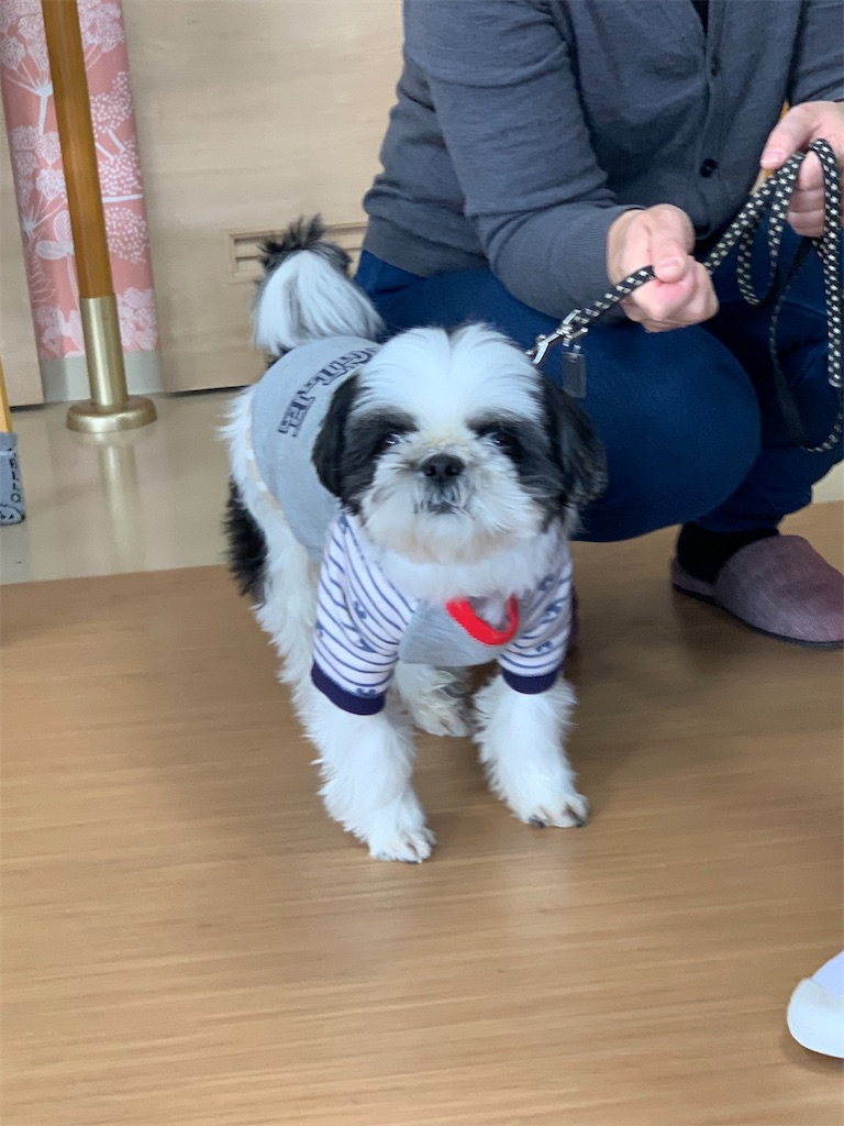 f:id:sakaivet2019:20240916183146j:image f:id:sakaivet2019:20240916183146j:image