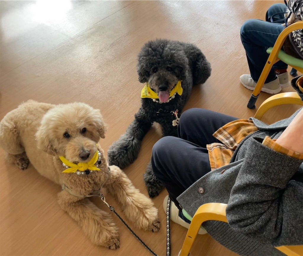 f:id:sakaivet2019:20240916183149j:image f:id:sakaivet2019:20240916183149j:image