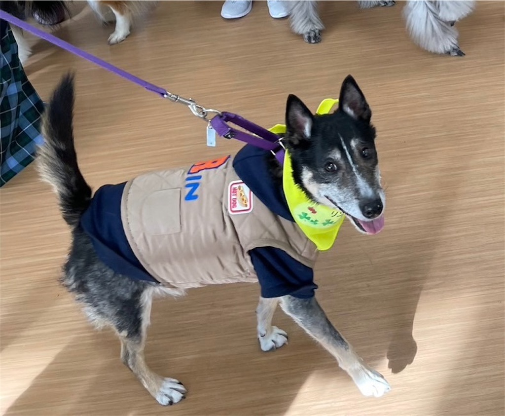 f:id:sakaivet2019:20240916183152j:image f:id:sakaivet2019:20240916183152j:image