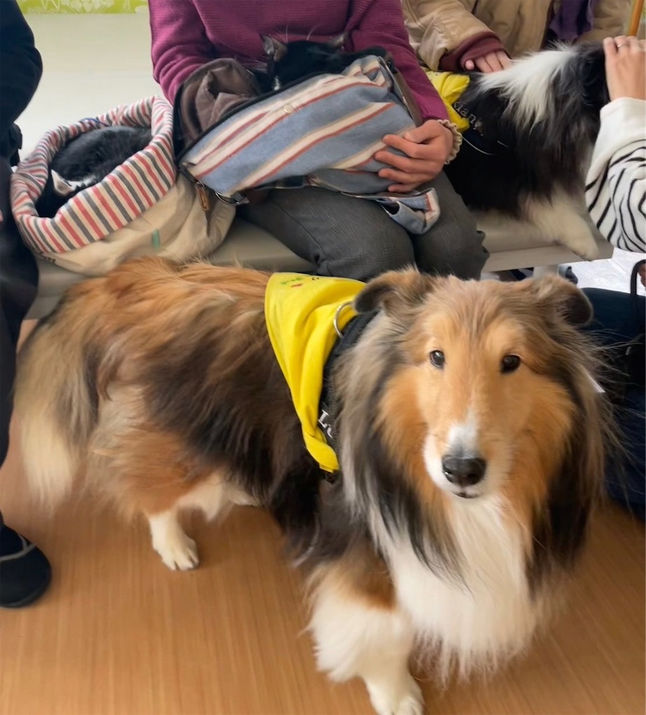 f:id:sakaivet2019:20240916183155j:image f:id:sakaivet2019:20240916183155j:image