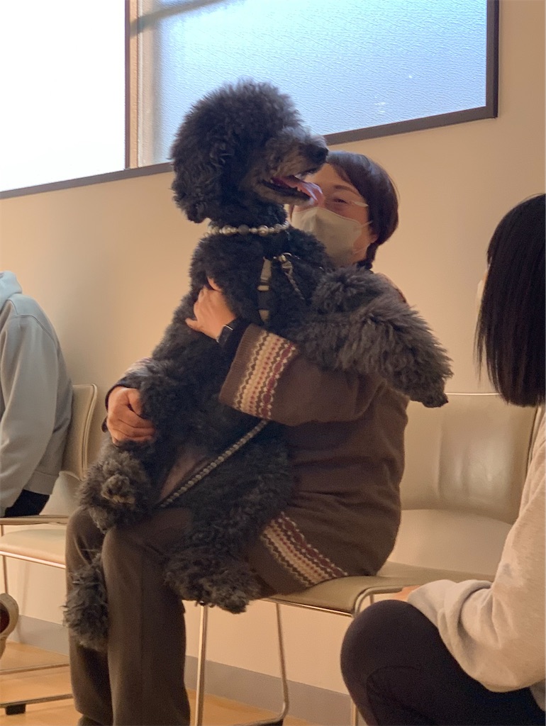 f:id:sakaivet2019:20240916183602j:image