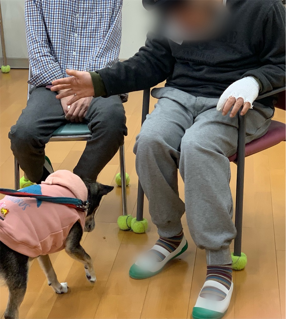 f:id:sakaivet2019:20240916185436j:image