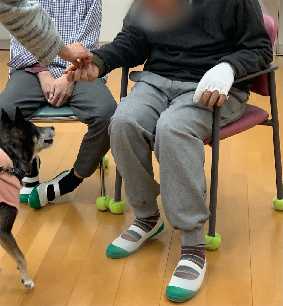 f:id:sakaivet2019:20240916185441j:image
