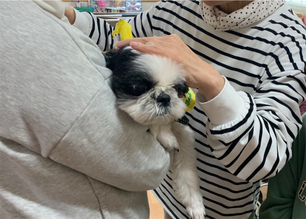 f:id:sakaivet2019:20240916195839j:image f:id:sakaivet2019:20240916195839j:image