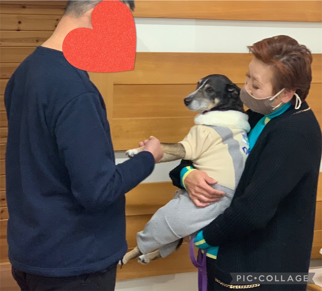 f:id:sakaivet2019:20240916200102j:image f:id:sakaivet2019:20240916200102j:image