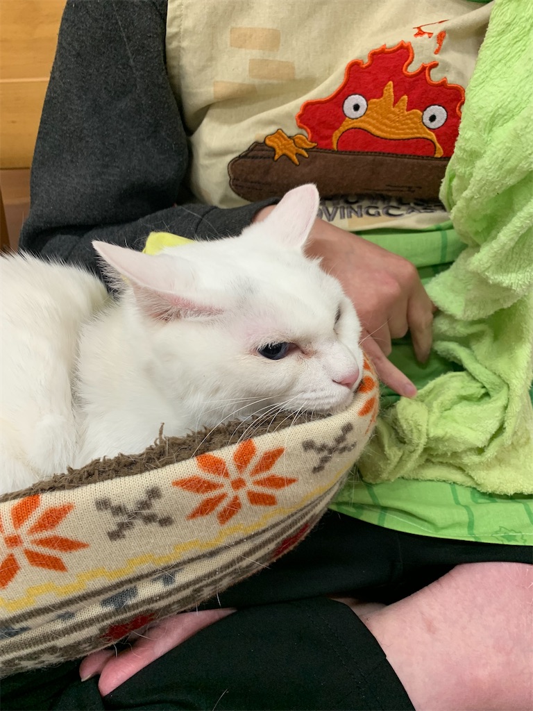 f:id:sakaivet2019:20240916200107j:image f:id:sakaivet2019:20240916200107j:image