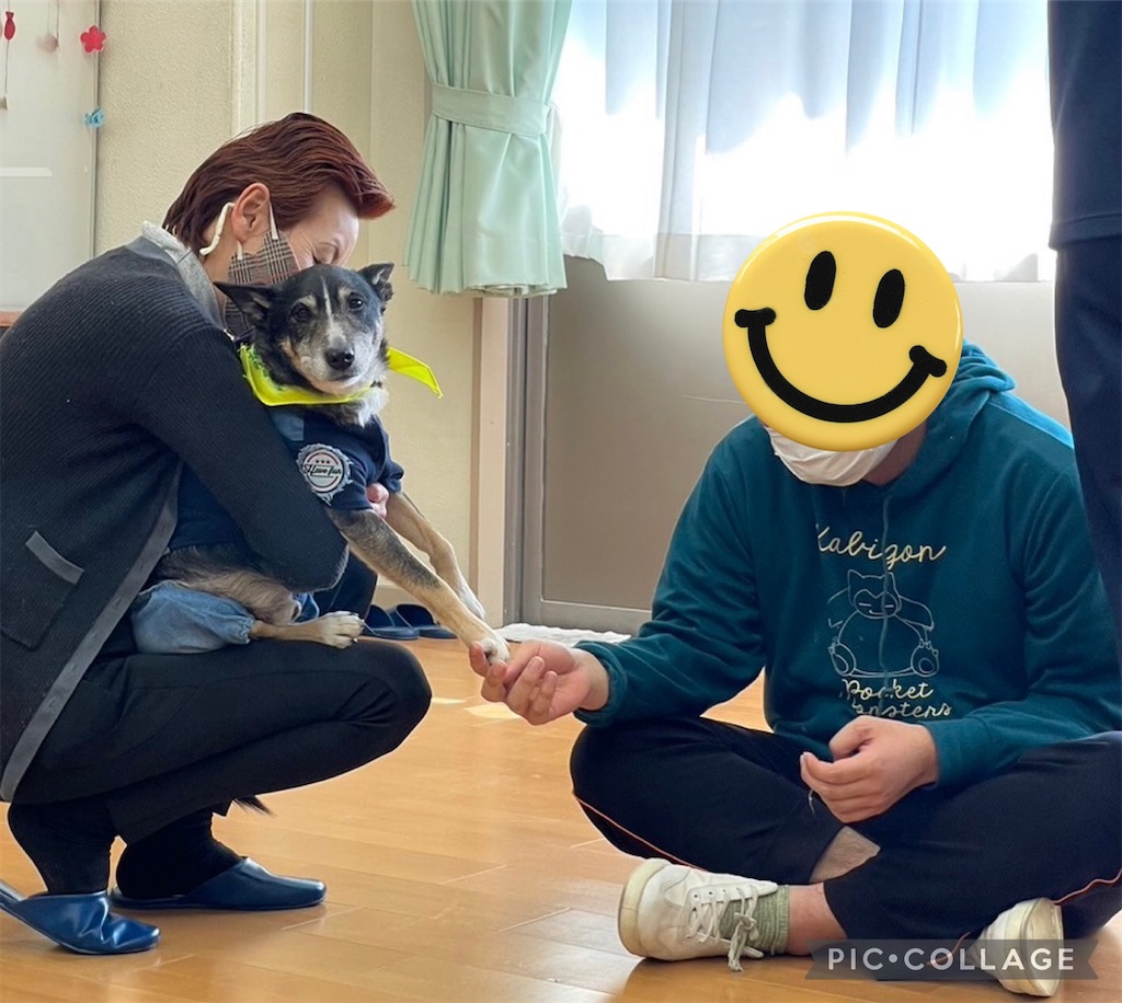 f:id:sakaivet2019:20240916200454j:image f:id:sakaivet2019:20240916200454j:image