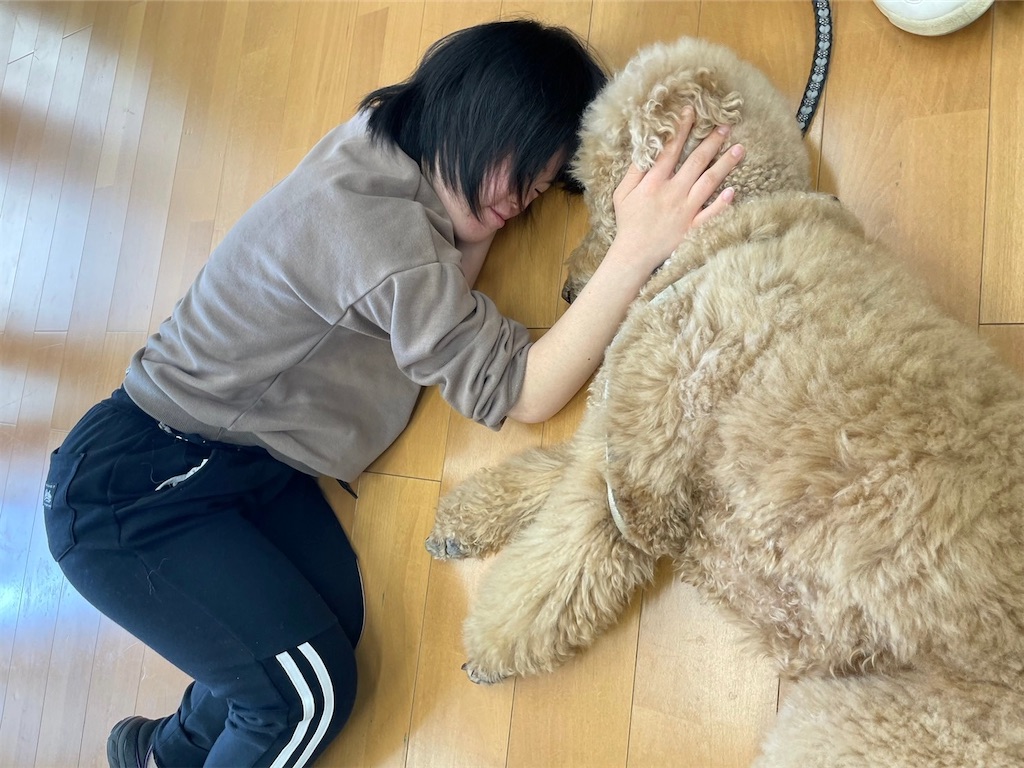 f:id:sakaivet2019:20240916200502j:image f:id:sakaivet2019:20240916200502j:image