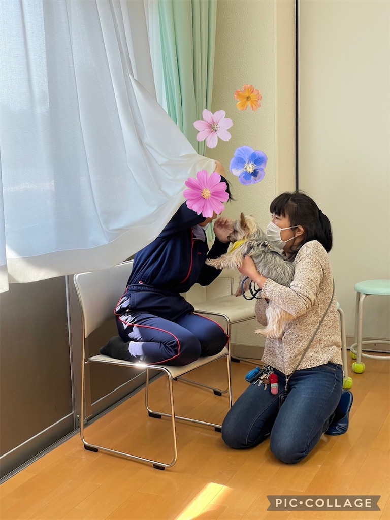 f:id:sakaivet2019:20240916200506j:image