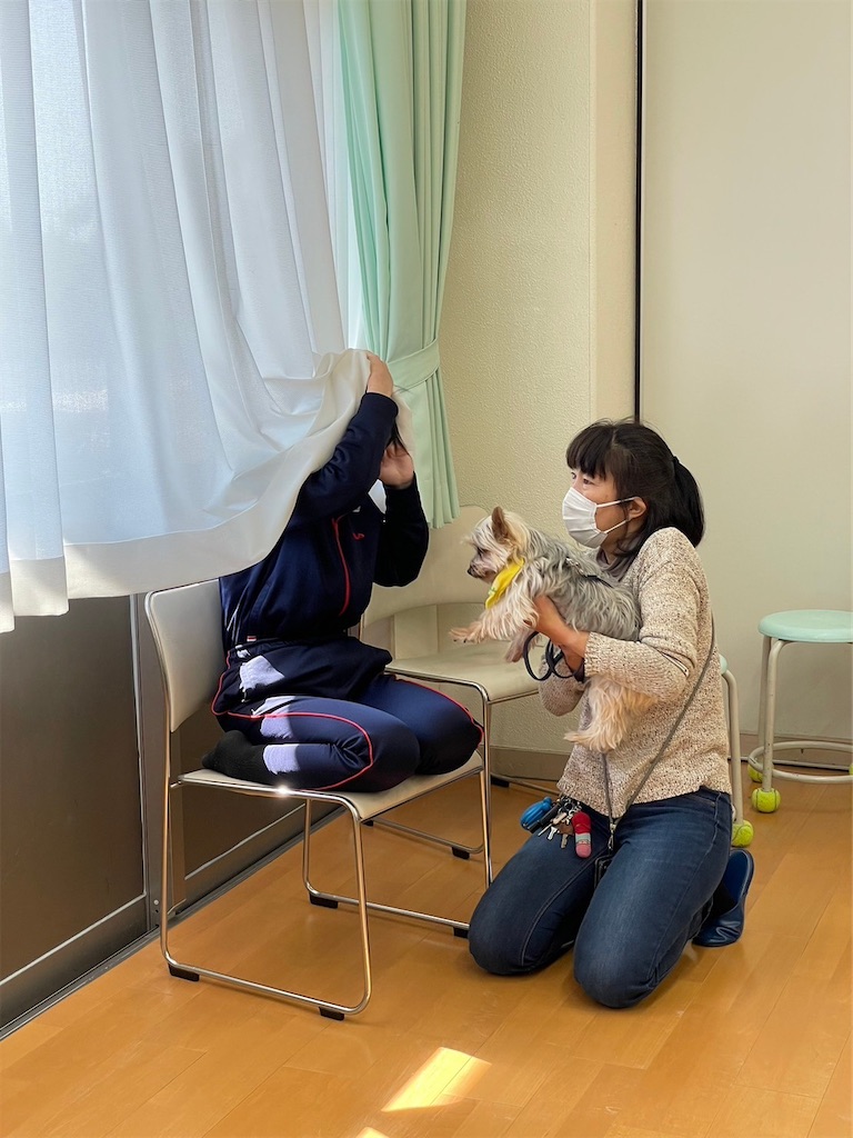 f:id:sakaivet2019:20240916200510j:image