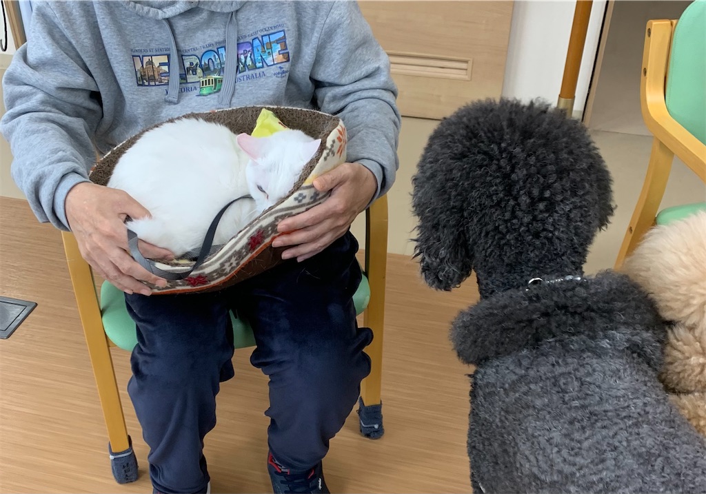 f:id:sakaivet2019:20240916201104j:image f:id:sakaivet2019:20240916201104j:image