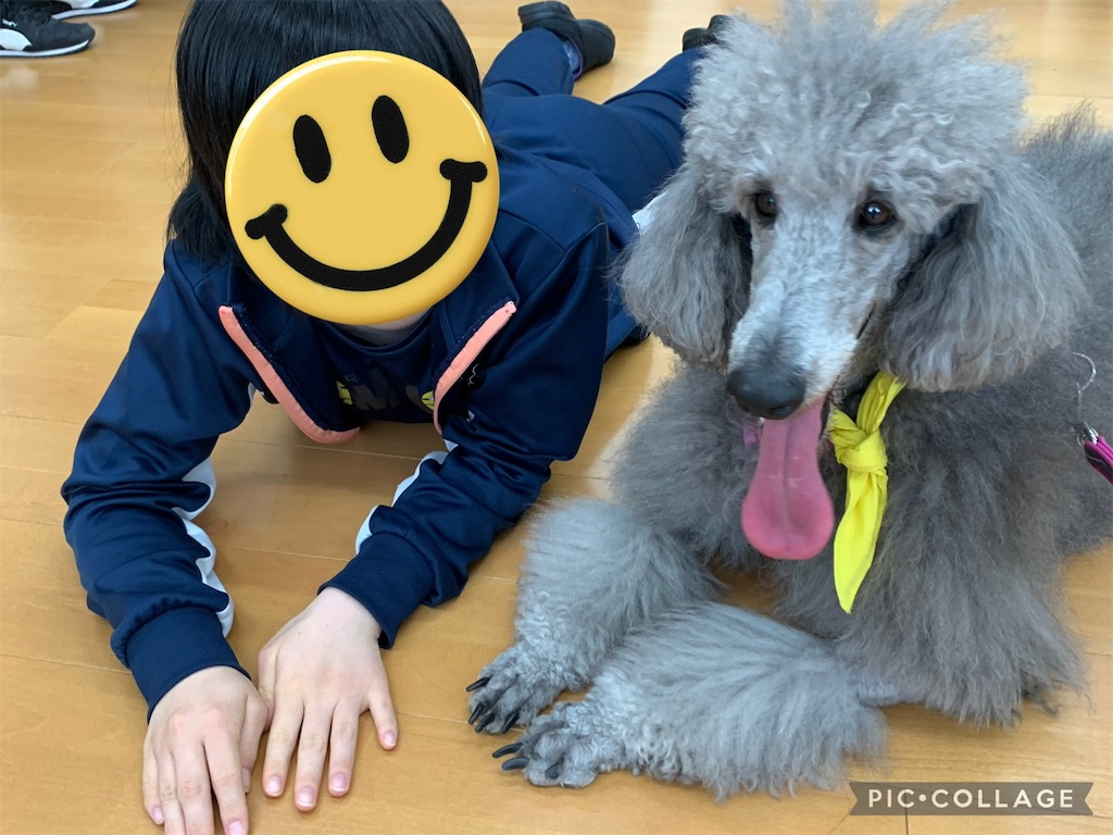 f:id:sakaivet2019:20240916202801j:image