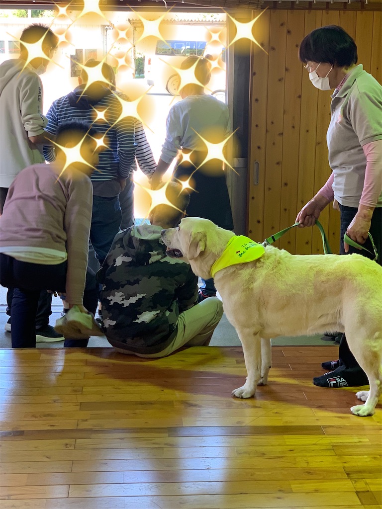 f:id:sakaivet2019:20240916203239j:image