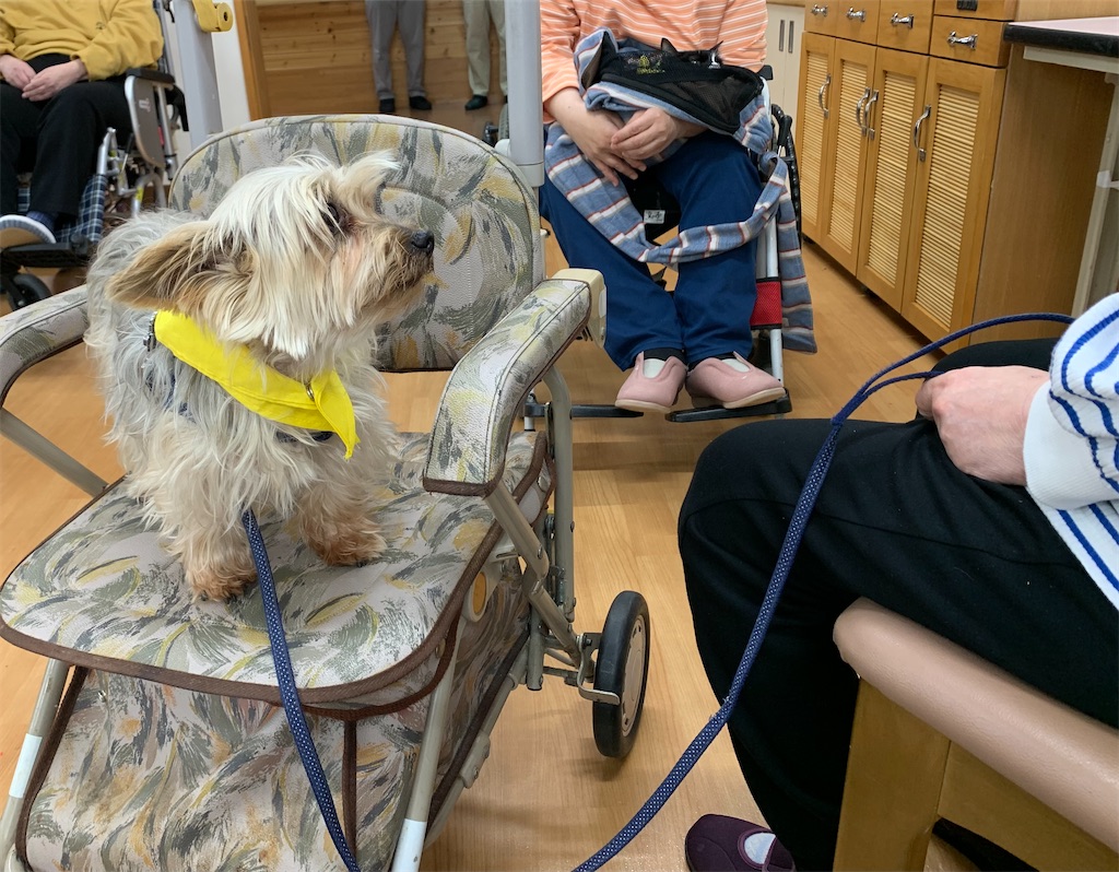 f:id:sakaivet2019:20240916204746j:image