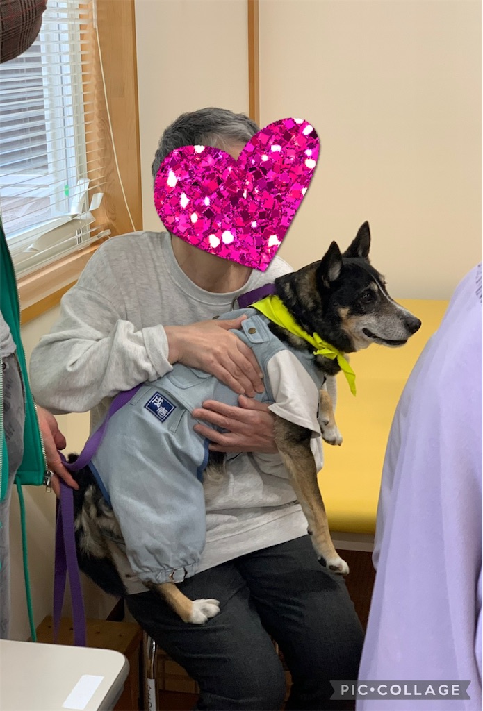 f:id:sakaivet2019:20240916204749j:image