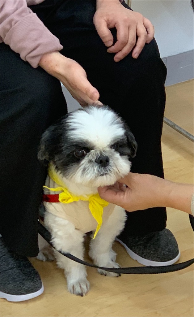 f:id:sakaivet2019:20240916205106j:image