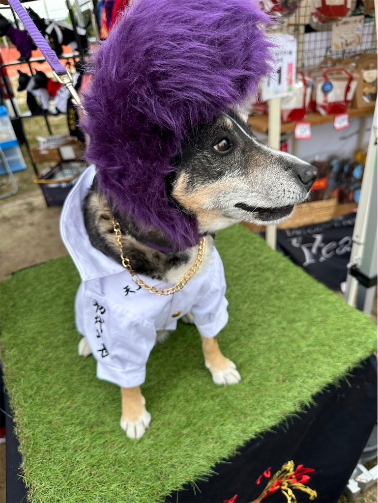 f:id:sakaivet2019:20240916205626j:image