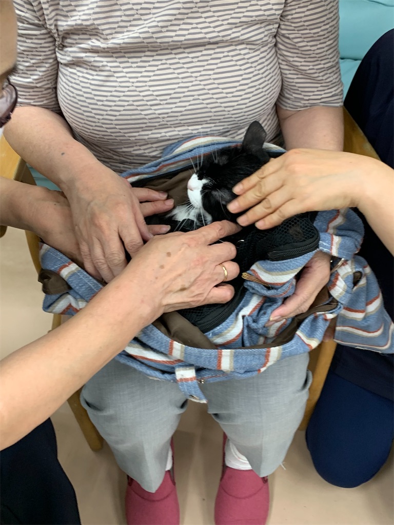f:id:sakaivet2019:20240916215135j:image