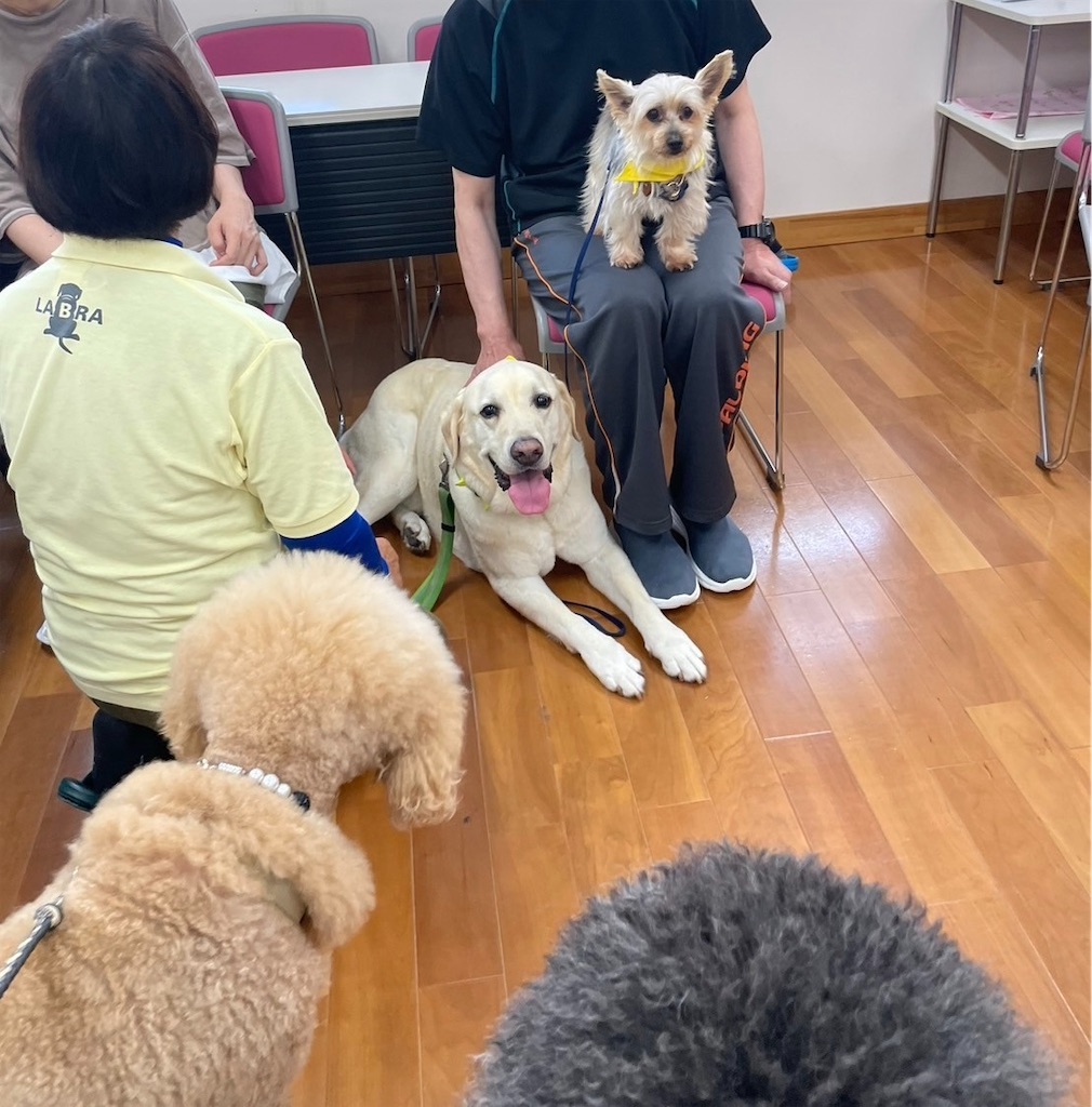 f:id:sakaivet2019:20240916221028j:image