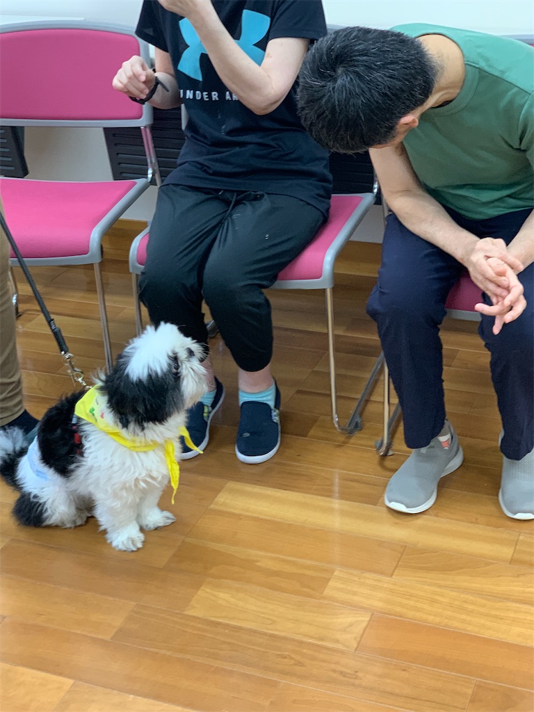 f:id:sakaivet2019:20240916221039j:image