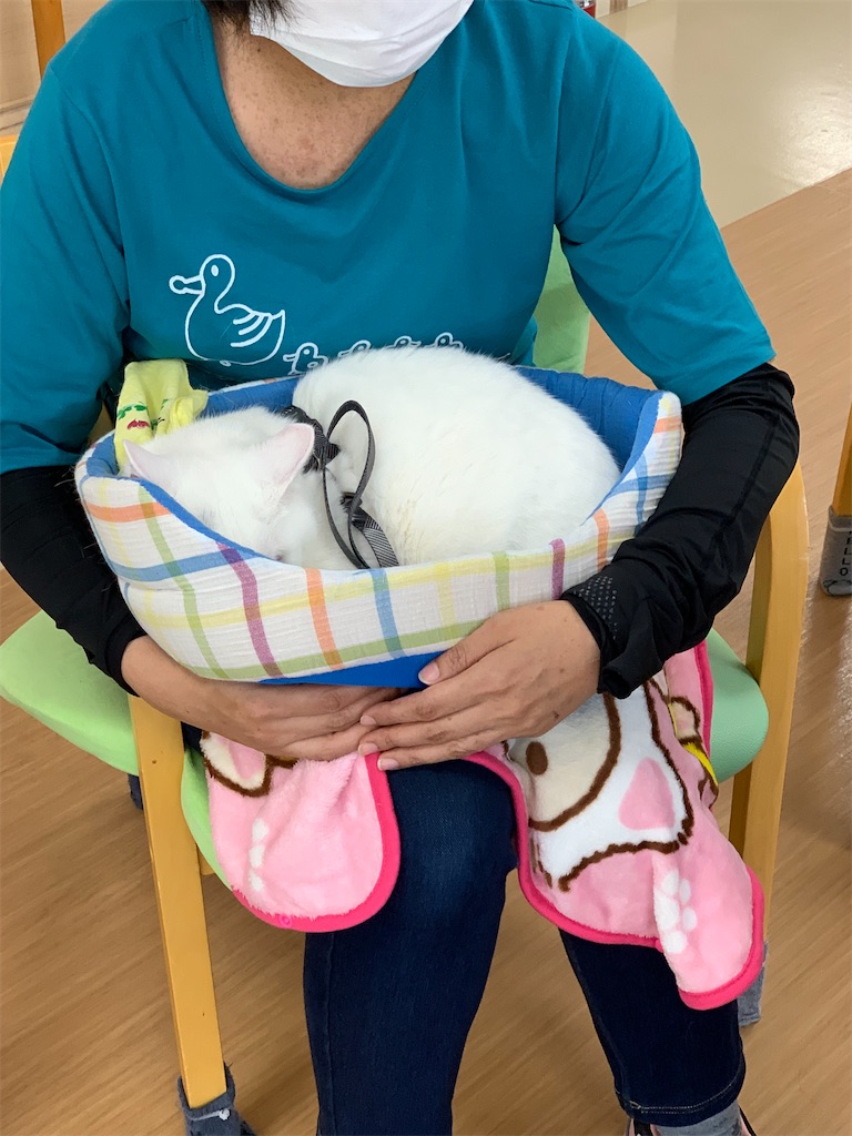 f:id:sakaivet2019:20240916223112j:image