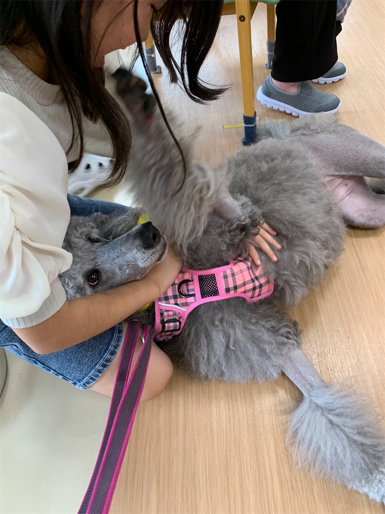 f:id:sakaivet2019:20240916223213j:image