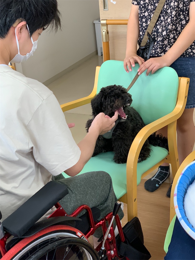 f:id:sakaivet2019:20240916223217j:image