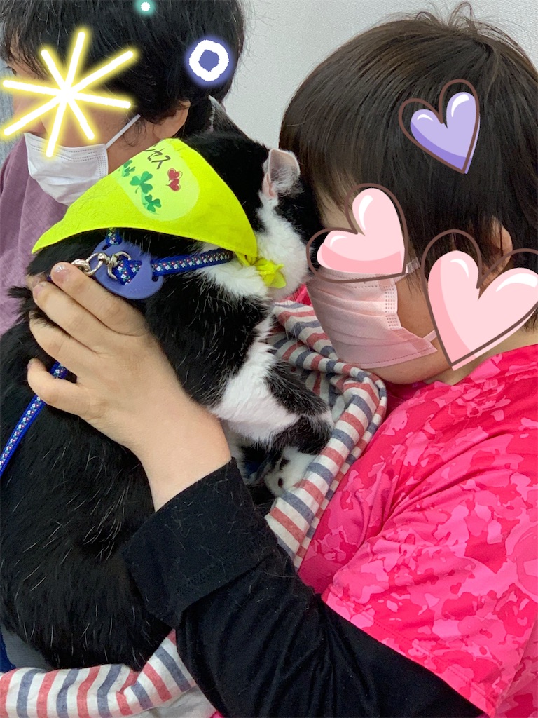 f:id:sakaivet2019:20240916230343j:image