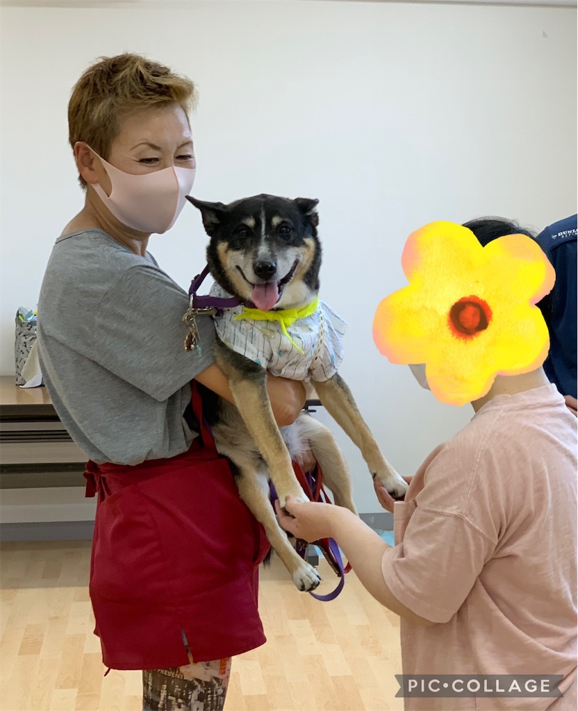 f:id:sakaivet2019:20240916230443j:image