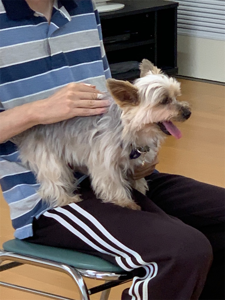 f:id:sakaivet2019:20240916231919j:image