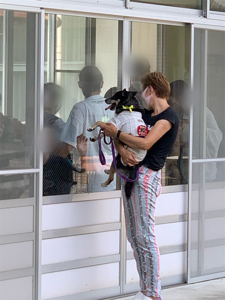 f:id:sakaivet2019:20240916235559j:image