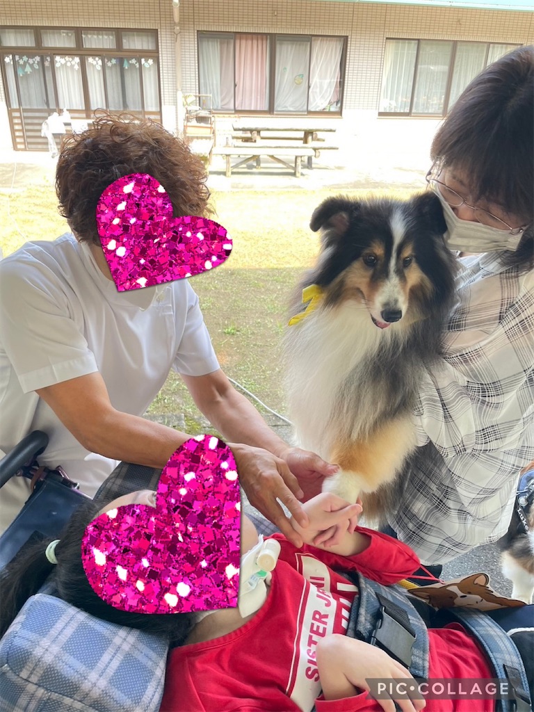 f:id:sakaivet2019:20240916235607j:image