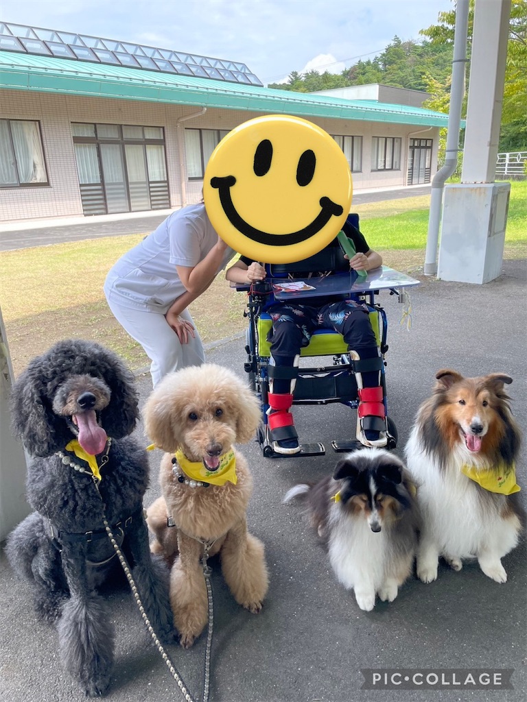 f:id:sakaivet2019:20240916235947j:image